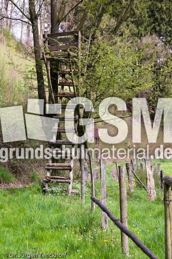 Hochstände (90 von 154).jpg